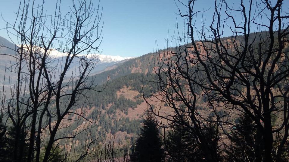 Photo of Of Manali's Safe Haven by Sharangee Dutta