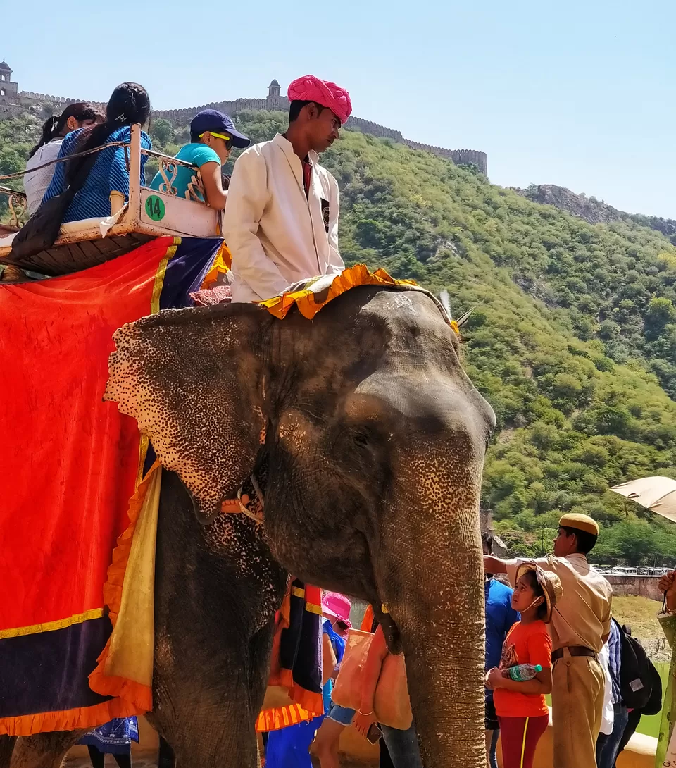 Photo of Amer Fort, Devisinghpura, Amer, Jaipur, Rajasthan, India by Whereyougo_thereyouare