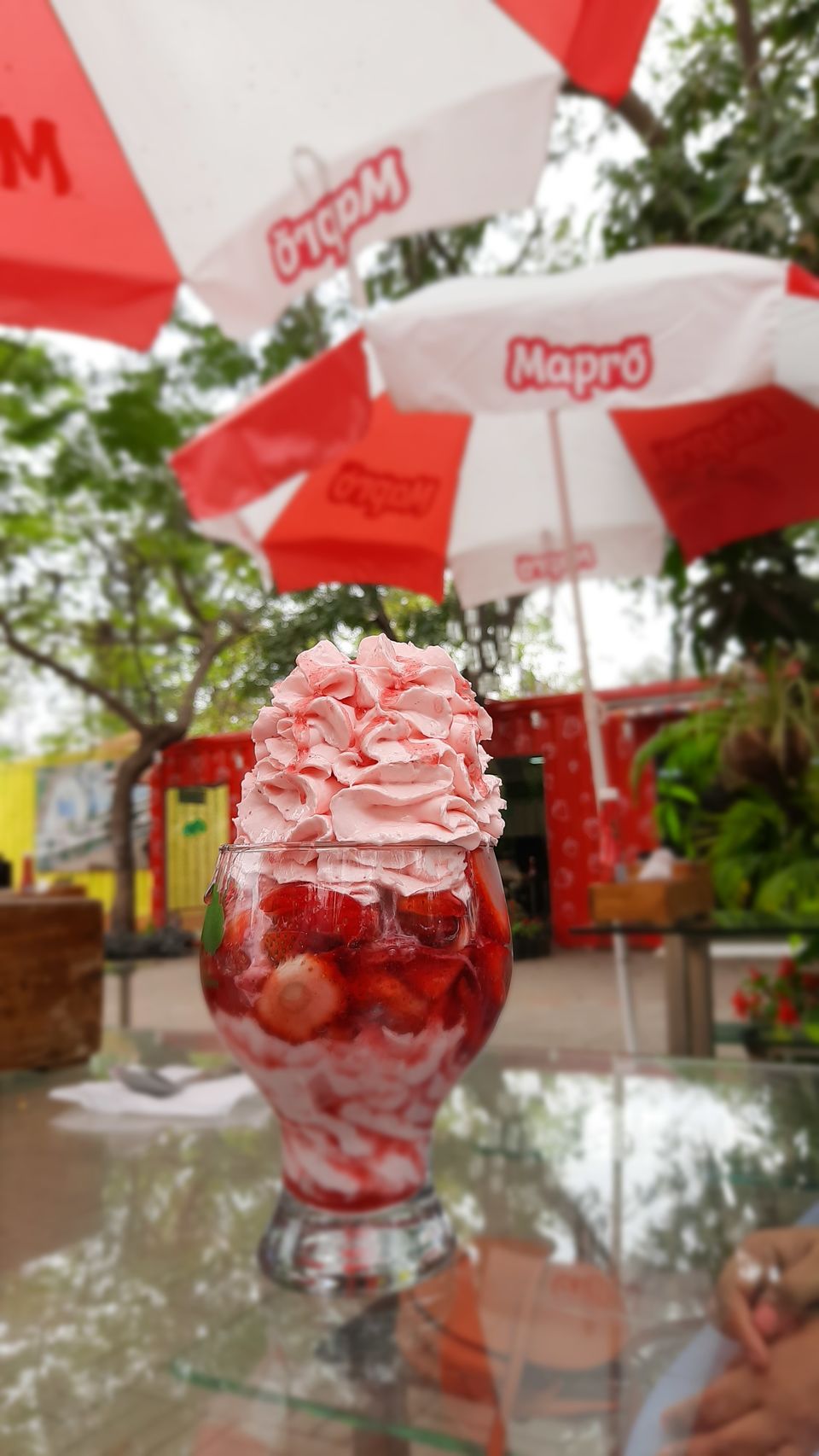 Photo of Mahabaleshwar and Panchgani- strawberries, mountains and so much more! by Ashutosh Patil