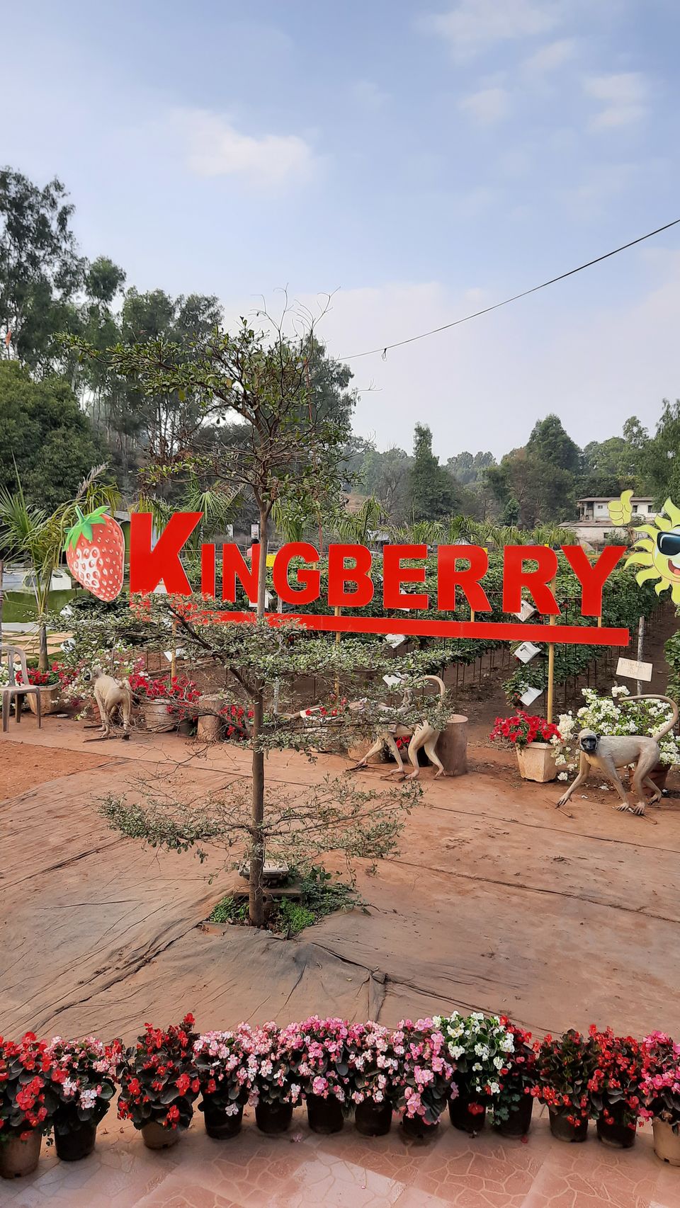 Photo of Mahabaleshwar and Panchgani- strawberries, mountains and so much more! by Ashutosh Patil