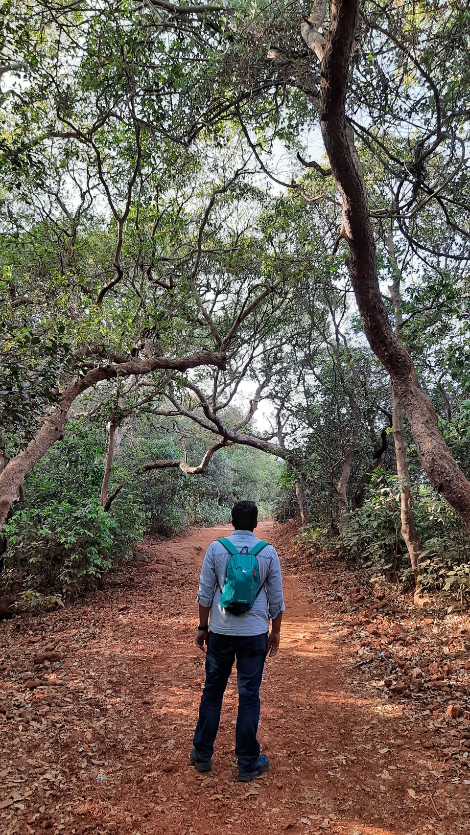 Photo of Mahabaleshwar, Maharashtra, India by Ashutosh Patil