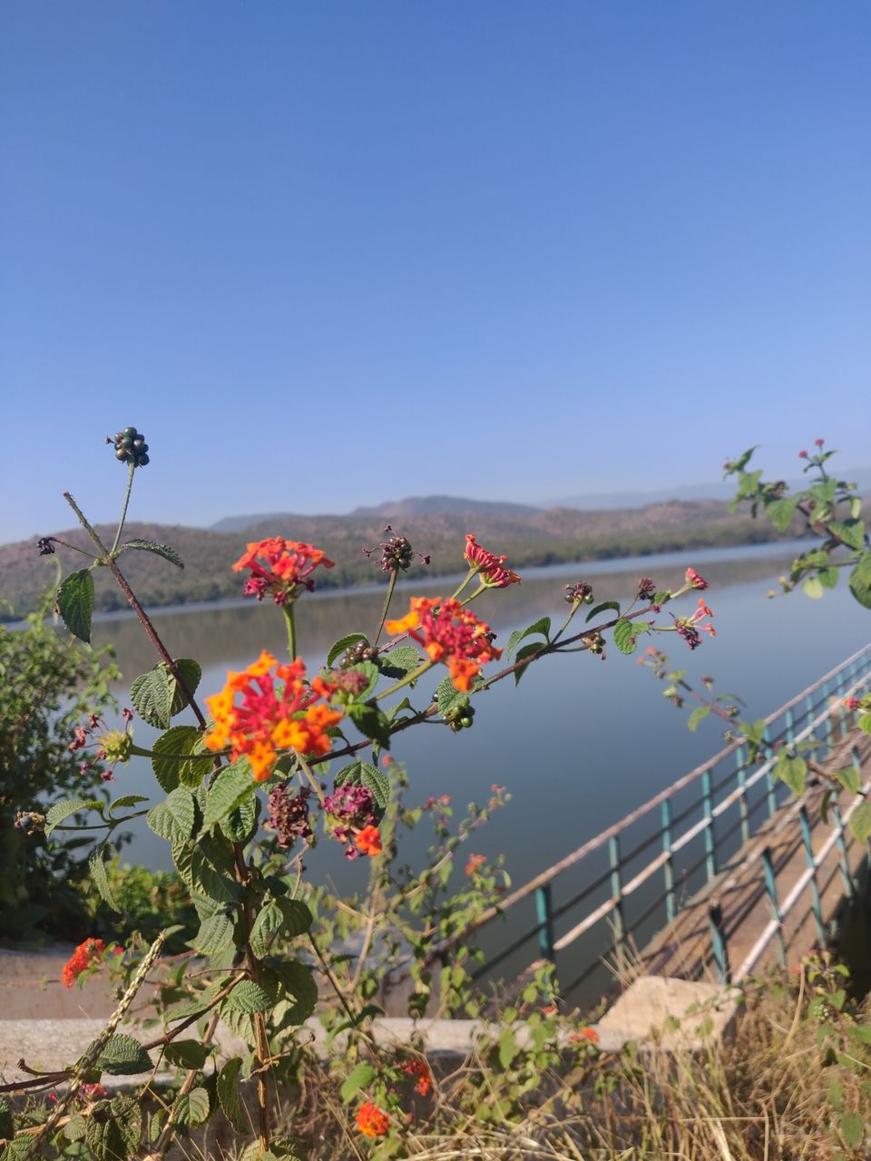Photo of Road Trip-one more done from the bucket list by Ikjot Singh