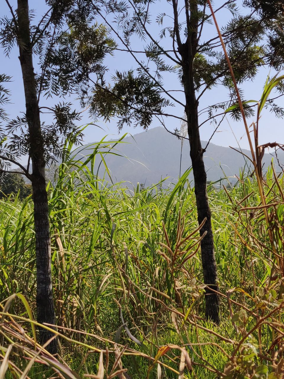 Photo of Road Trip-one more done from the bucket list by Ikjot Singh