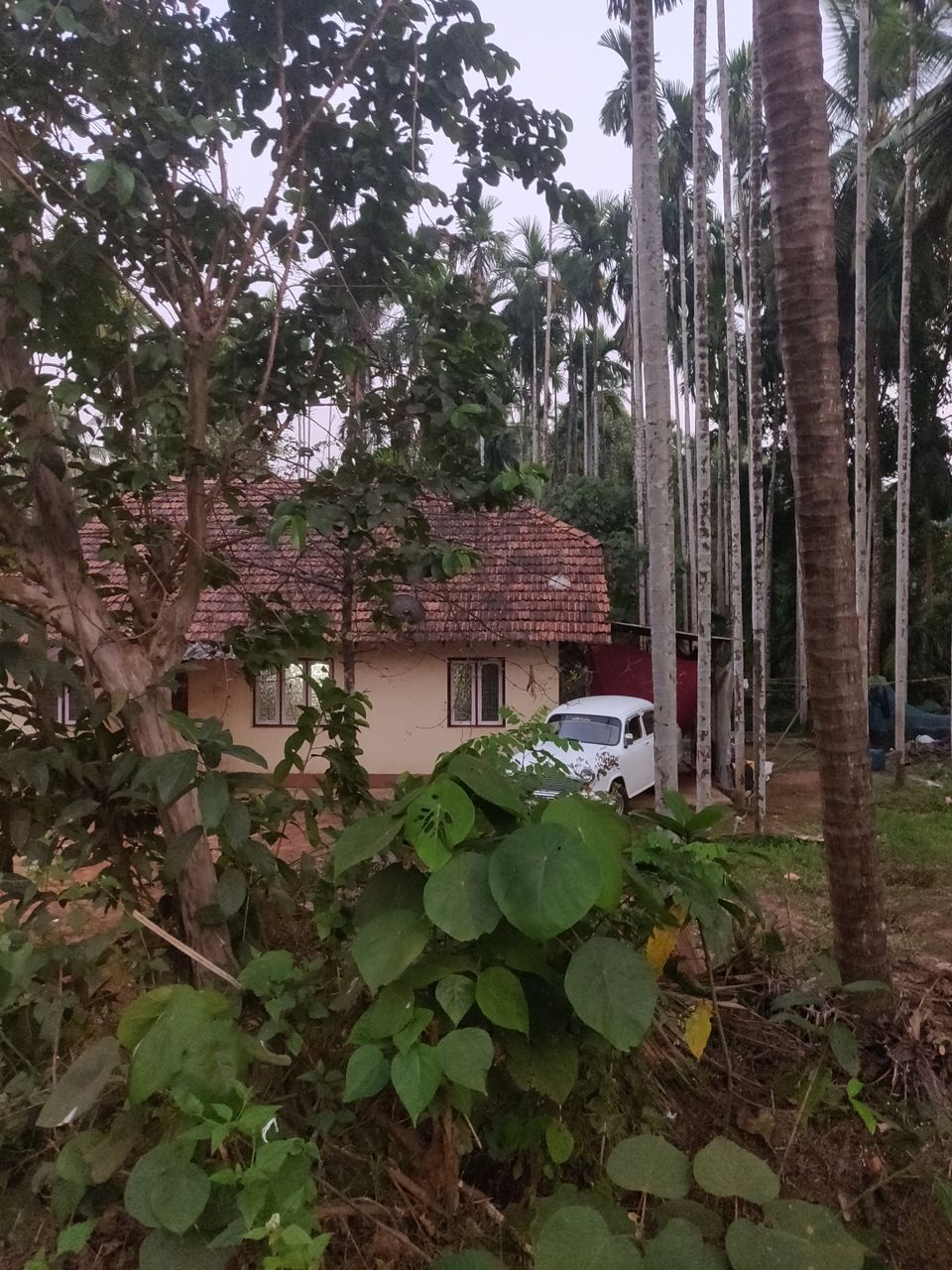 Photo of Road Trip-one more done from the bucket list by Ikjot Singh