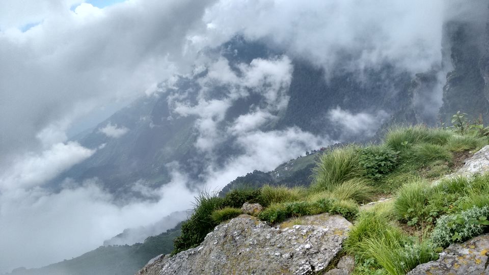 Photo of Chopta 5/14 by Aniket Singh ( Hippies Adventures )