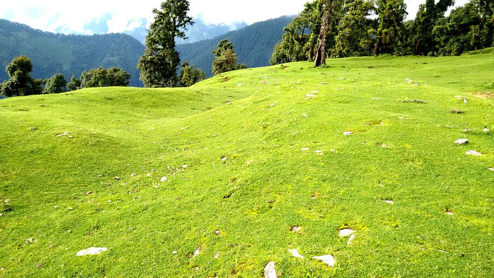 Photo of Chopta 11/14 by Aniket Singh ( Hippies Adventures )