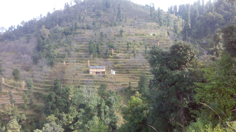 Photo of Kanatal - The one eyed Lake 2/7 by Nikhil Dhyani
