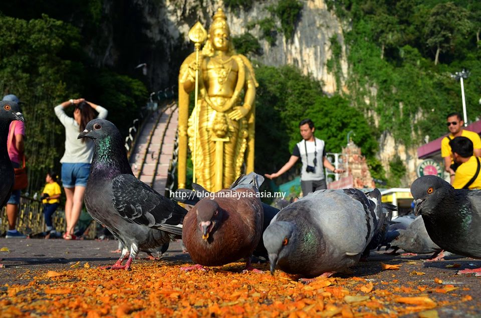 Photo of Selangor Malaysia by Junior Hogan