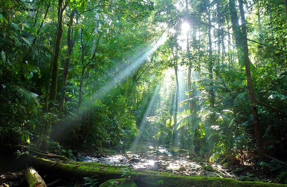 Photo of Royal Belum State Park, Malaysia by Junior Hogan