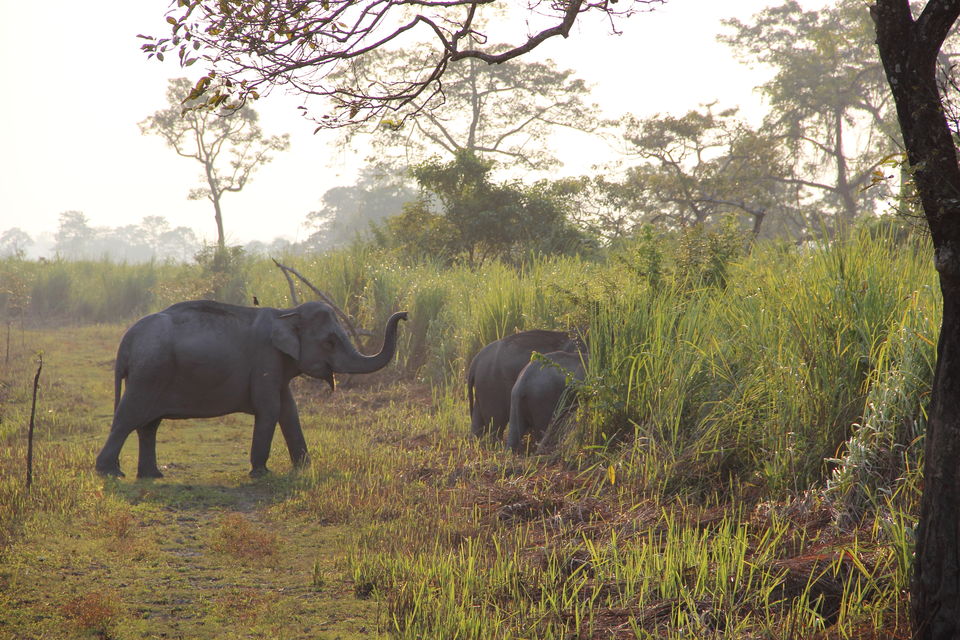 Photo of Road Trip Across North-East India - 03 States in 15 Days 2/7 by Michelle