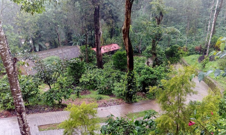 Photo of Best Honeymoon Places in India 3/6 by Shivesh K. Patel