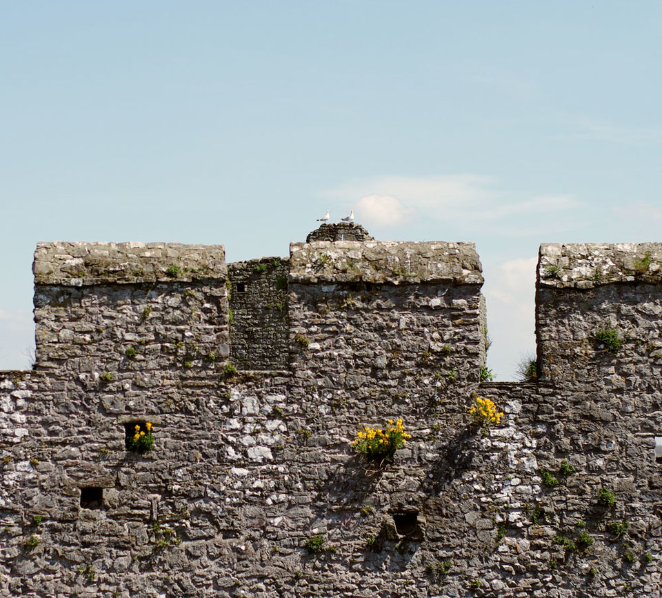 Photo of Wales: Chepstow, Caerphilly and Aberystwyth 15/19 by Katya Laroche