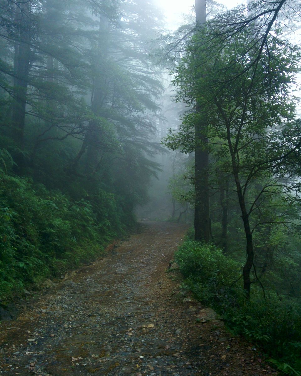 Photo of Travelling Solo in North India for 3 weeks: (Amritsar, Dharamshala, Parvati Valley & more) 8/17 by Siddharth R. Sharma