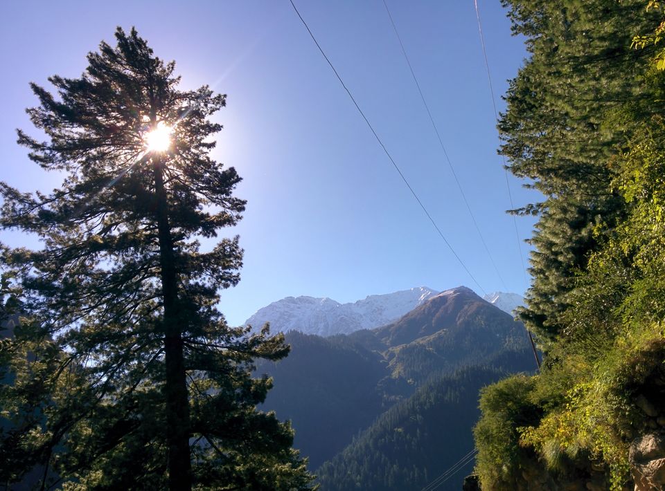 Photo of A day (and night) in Tosh! 4/13 by Siddharth R. Sharma