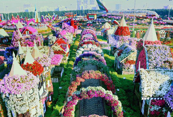 Photo of Dubai Miracle Garden - Arjan-Dubailand - Dubai - United Arab Emirates by Arushi Agrawal