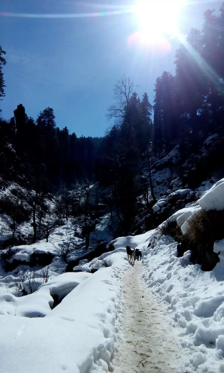 Photo of Pulga, मणिकर्ण - बर्शेणी सड़क, Sosan, Himachal Pradesh, India by Shivansh Singhal