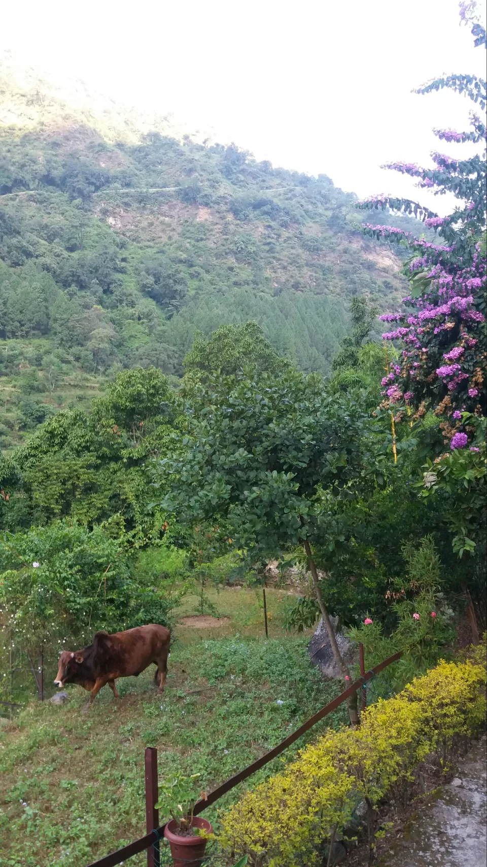 Photo of d uttarakhand throwback!! by Nitin Raichandani