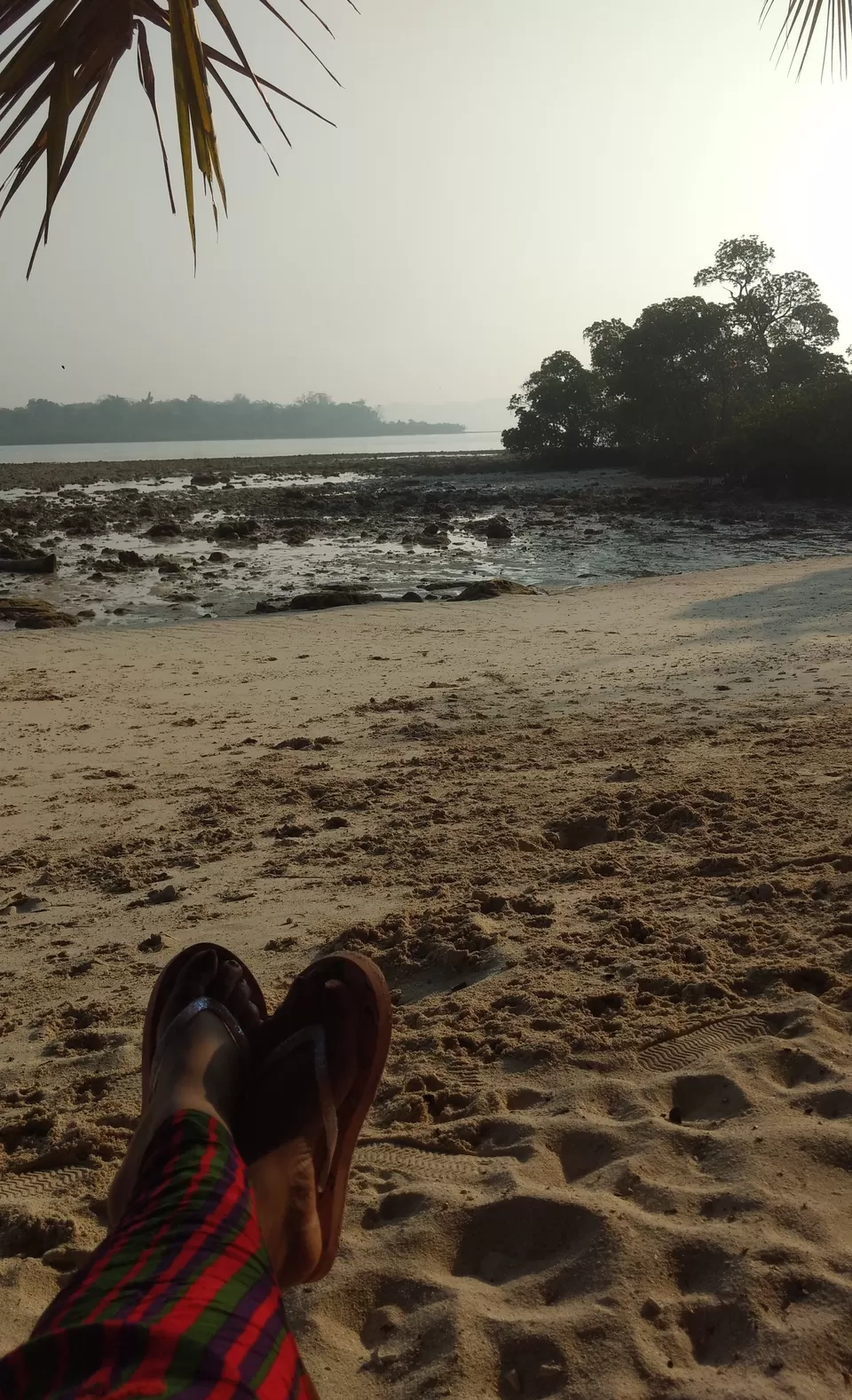 Photo of Havelock Island Beach Resort, Andaman and Nicobar Islands, India by Pooja Saboo