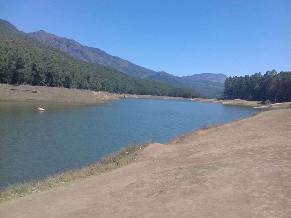 Photo of Munnar, Kerala, India by Sukriti Grover
