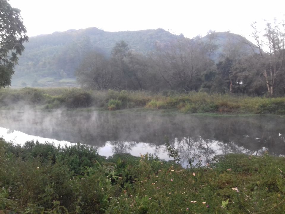 Photo of Kerala - Everything you need to know about God's Own Country by Sukriti Grover