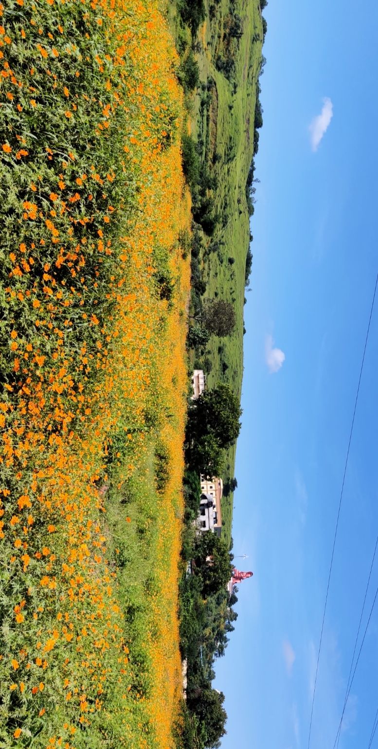 Photo of West India in 10 days! State 1 - Maharashtra by Pranam Naik