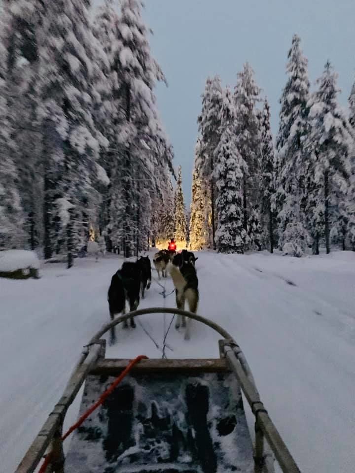 Photo of Rovaniemi, Finland by Ria Ghosh