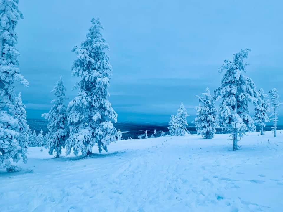 Photo of Saariselkä, Finland by Ria Ghosh