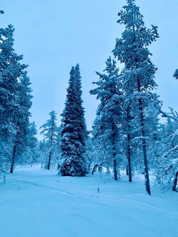 Photo of Saariselkä, Finland by Ria Ghosh