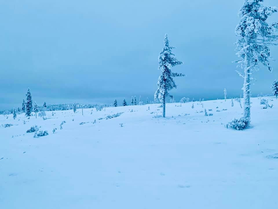 Photo of Saariselkä, Finland by Ria Ghosh