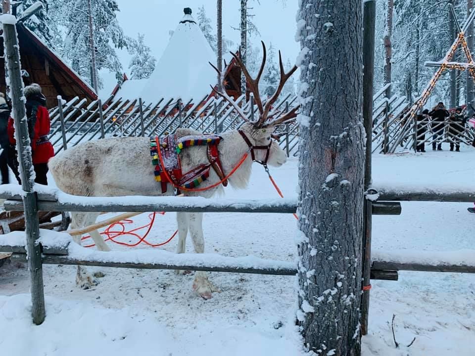 Photo of Rovaniemi, Finland by Ria Ghosh