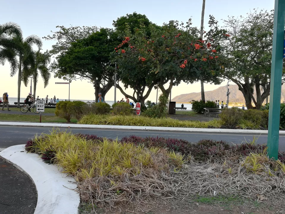 Photo of Solo in Cairns! #photosabroad by Sandhya Vasudeva Rao