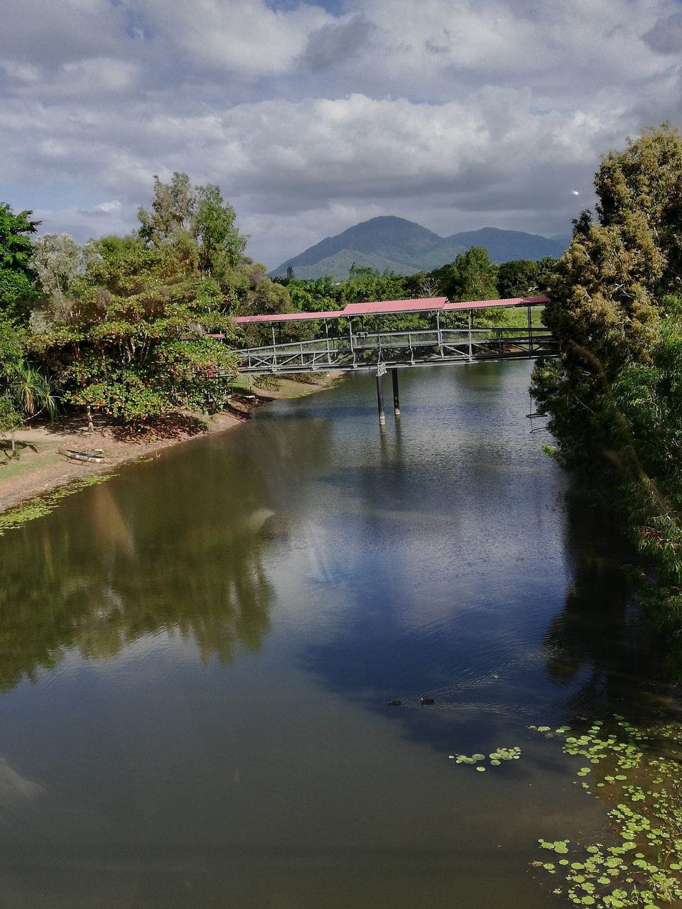 Photo of Solo in Cairns! #photosabroad by Sandhya Vasudeva Rao