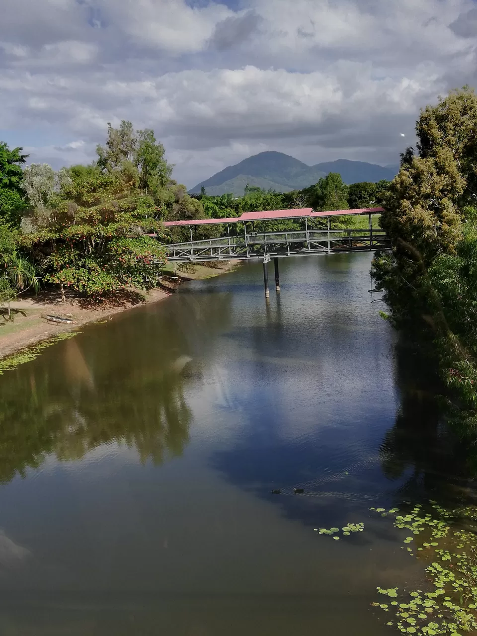 Photo of Solo in Cairns! #photosabroad by Sandhya Vasudeva Rao