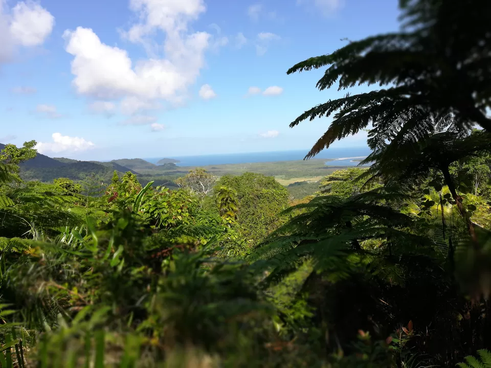 Photo of Mount Alexandra Lookout, Cape Tribulation Road, Kimberley QLD, Australia by Sandhya Vasudeva Rao