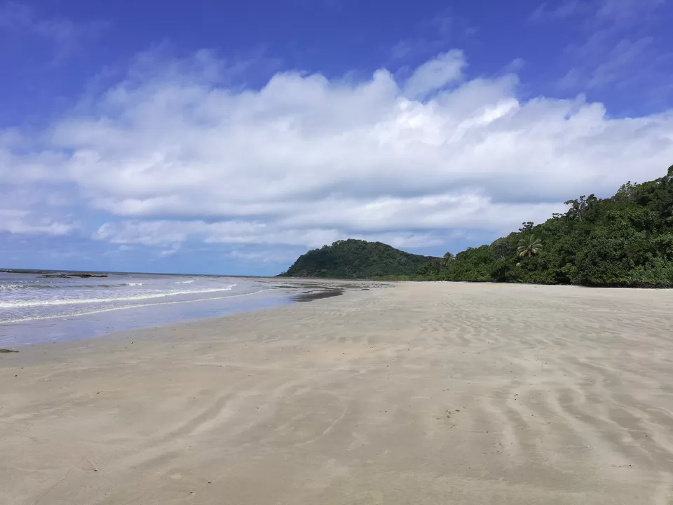 Photo of Cape Tribulation QLD, Australia by Sandhya Vasudeva Rao