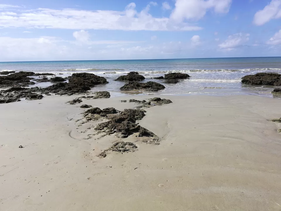 Photo of Cape Tribulation QLD, Australia by Sandhya Vasudeva Rao