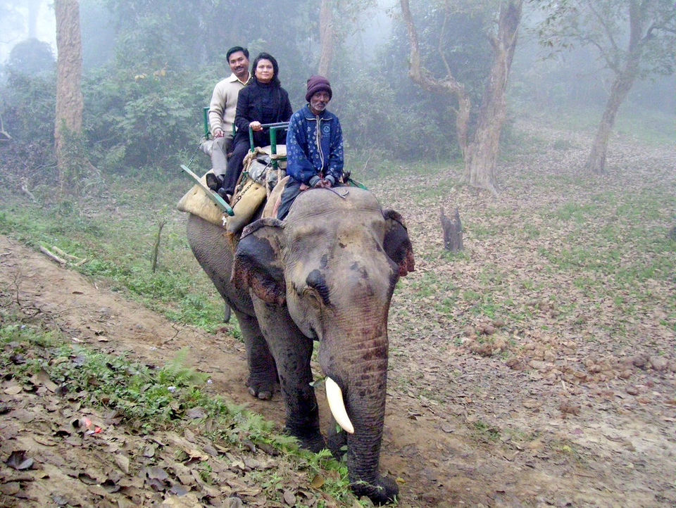 Photo of Online Safari Booking In Kaziranga 5/6 by varun srivastava