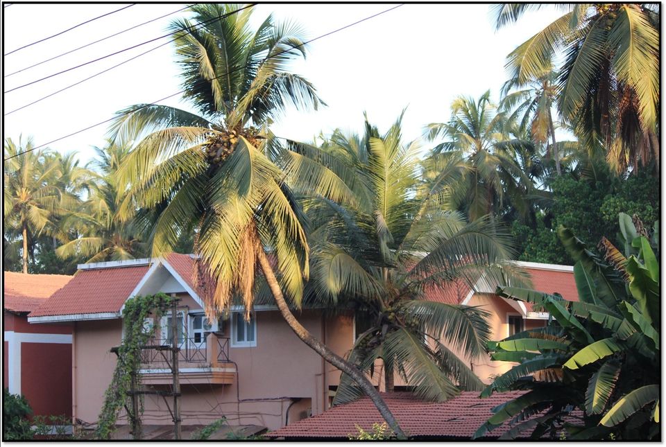 Photo of BIKE RIDE TO GOA-THINGS TO DO IN GOA by Sambhaji Patil