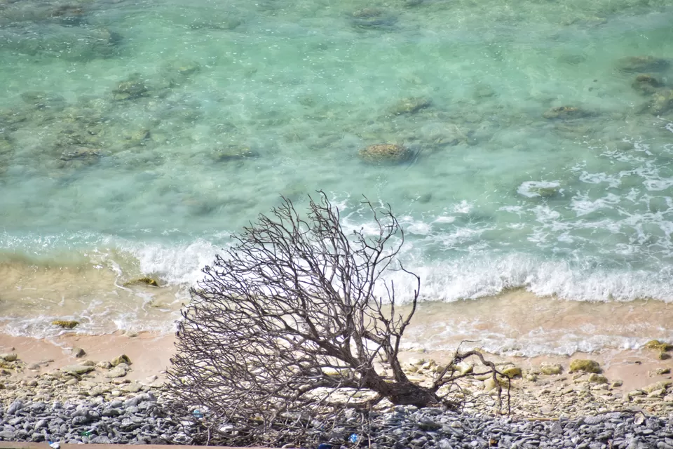 Photo of Minicoy, Lakshadweep, India by Pallavi Shivanand