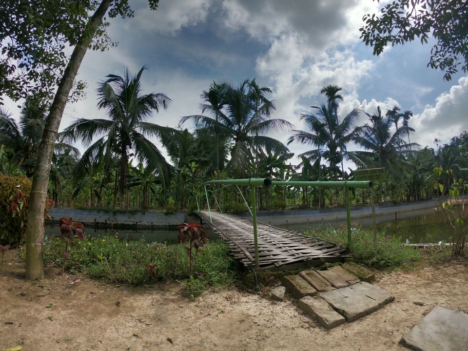 Photo of This is not some place in Goa but Assam by Rituraj Gogoi