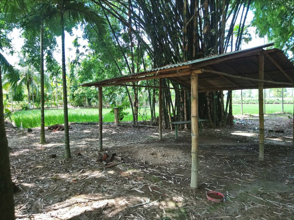 Photo of This is not some place in Goa but Assam by Rituraj Gogoi