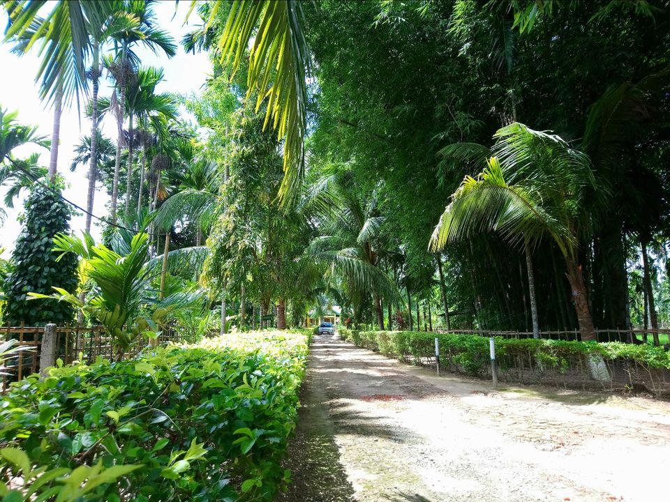 Photo of This is not some place in Goa but Assam by Rituraj Gogoi
