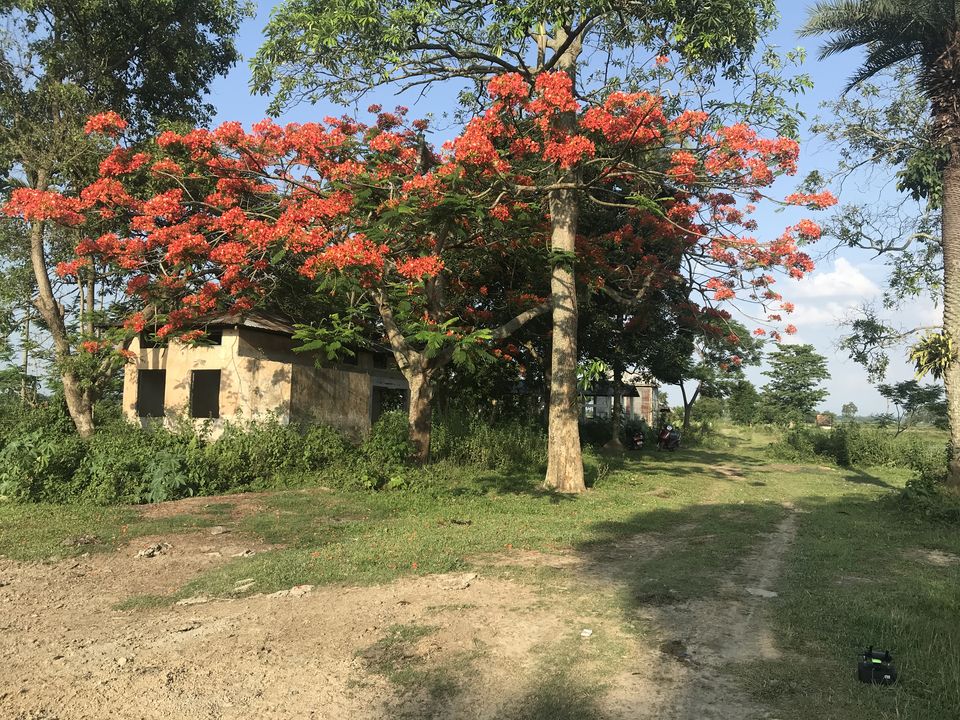 Photo of This place is photographers paradise in Assam 1/4 by Rituraj Gogoi