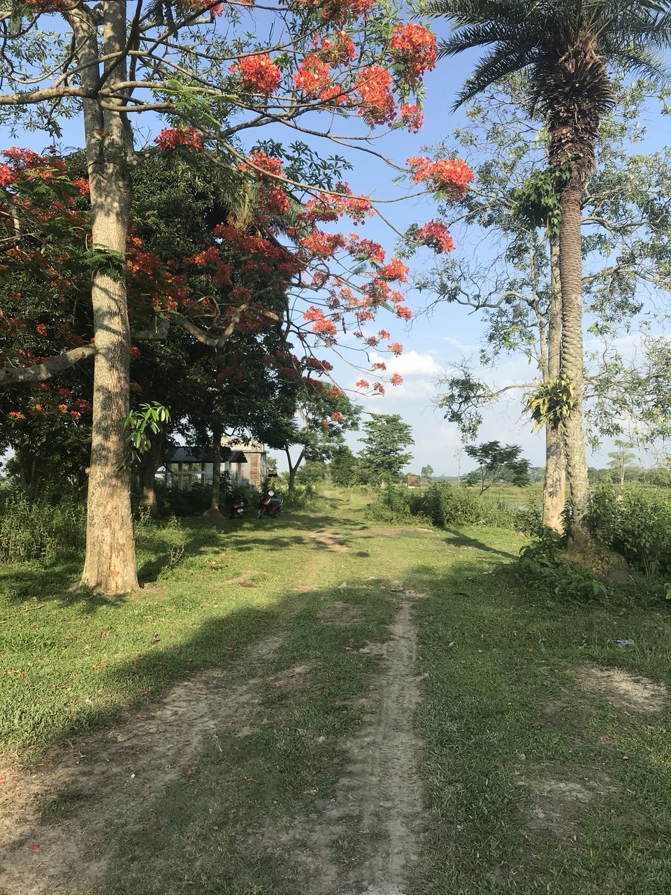 Photo of This place is photographers paradise in Assam 2/4 by Rituraj Gogoi
