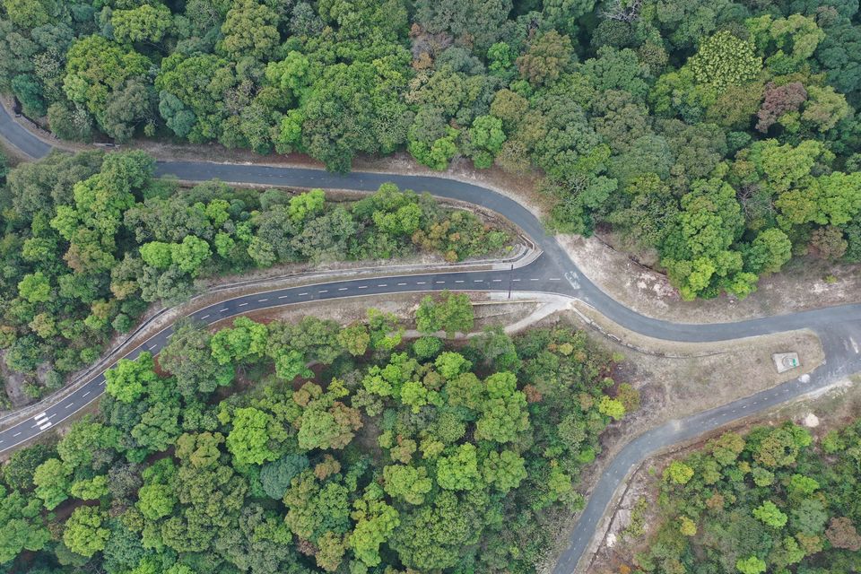 Photo of Travellers Nest in Meghalaya 2/3 by Rituraj Gogoi