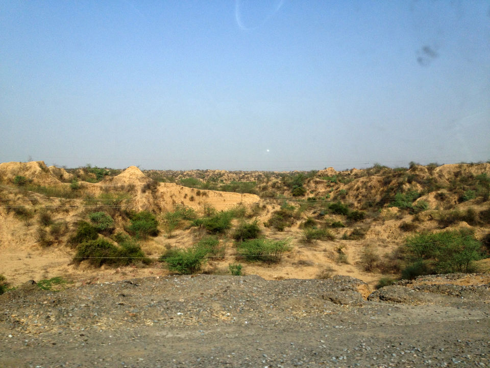 Photo of Chambal River by Arjun M G