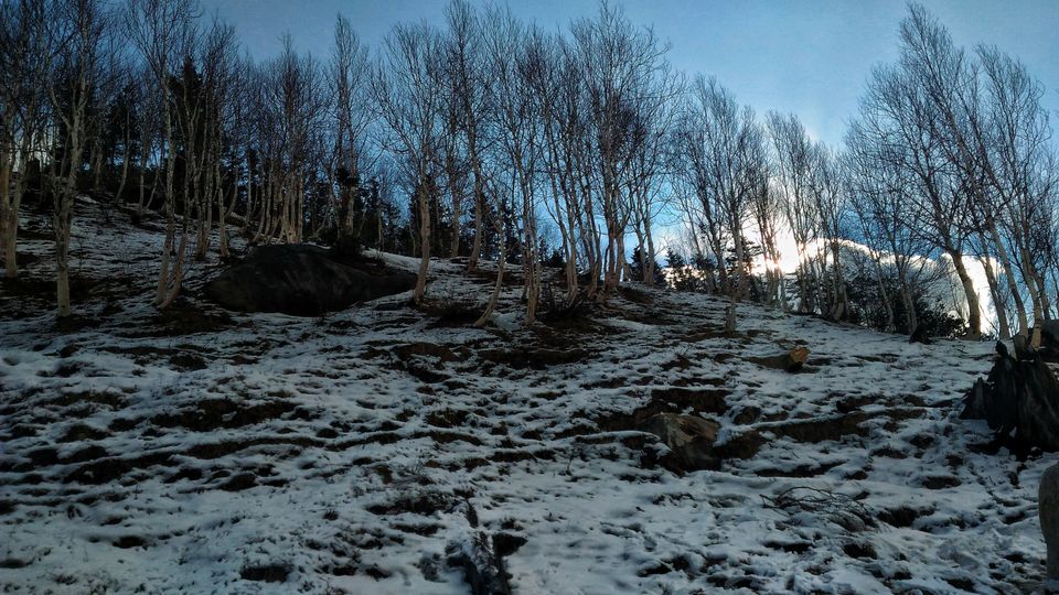 Photo of Gulaba Viewpoint, Kothi, Himachal Pradesh, India by Aditya Singh