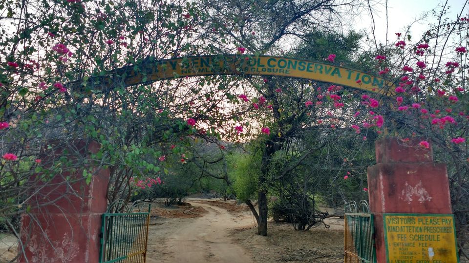 Photo of Ranthambore :Land of the majestic tiger by Aditya Mishra