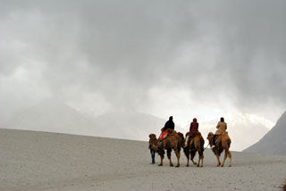 Photo of Hemis Festival and Kalachakra 3/4 by Roads Less Travelled