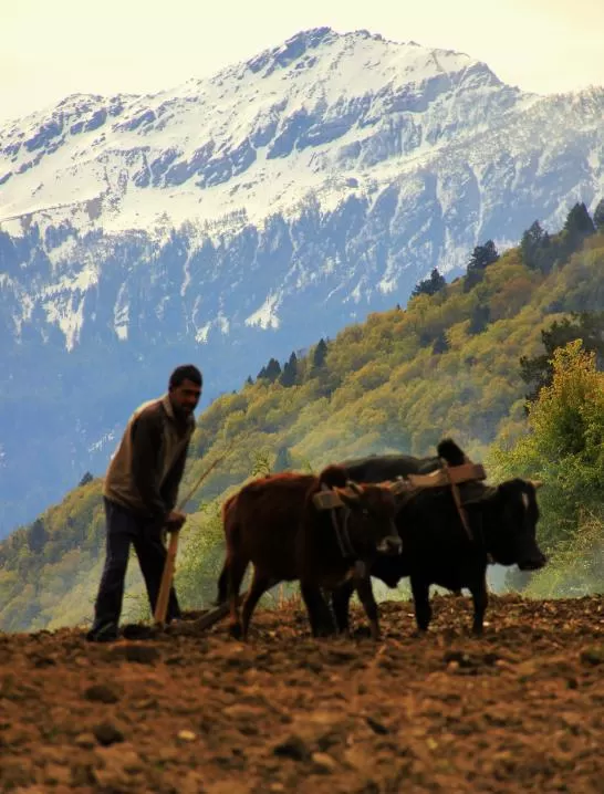 Photo of Helang by Sandeep Bisht